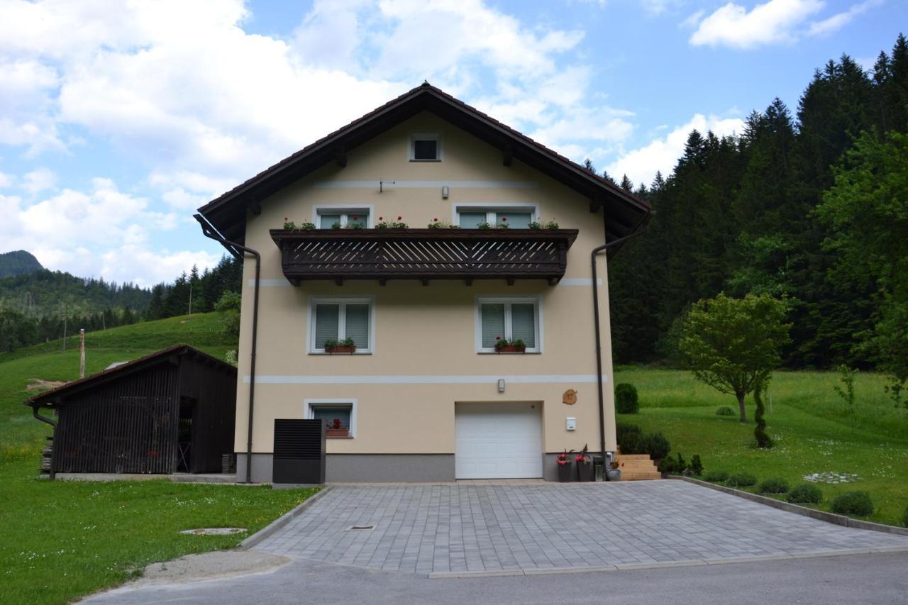 Apartma Ob Potoku Luče Dış mekan fotoğraf