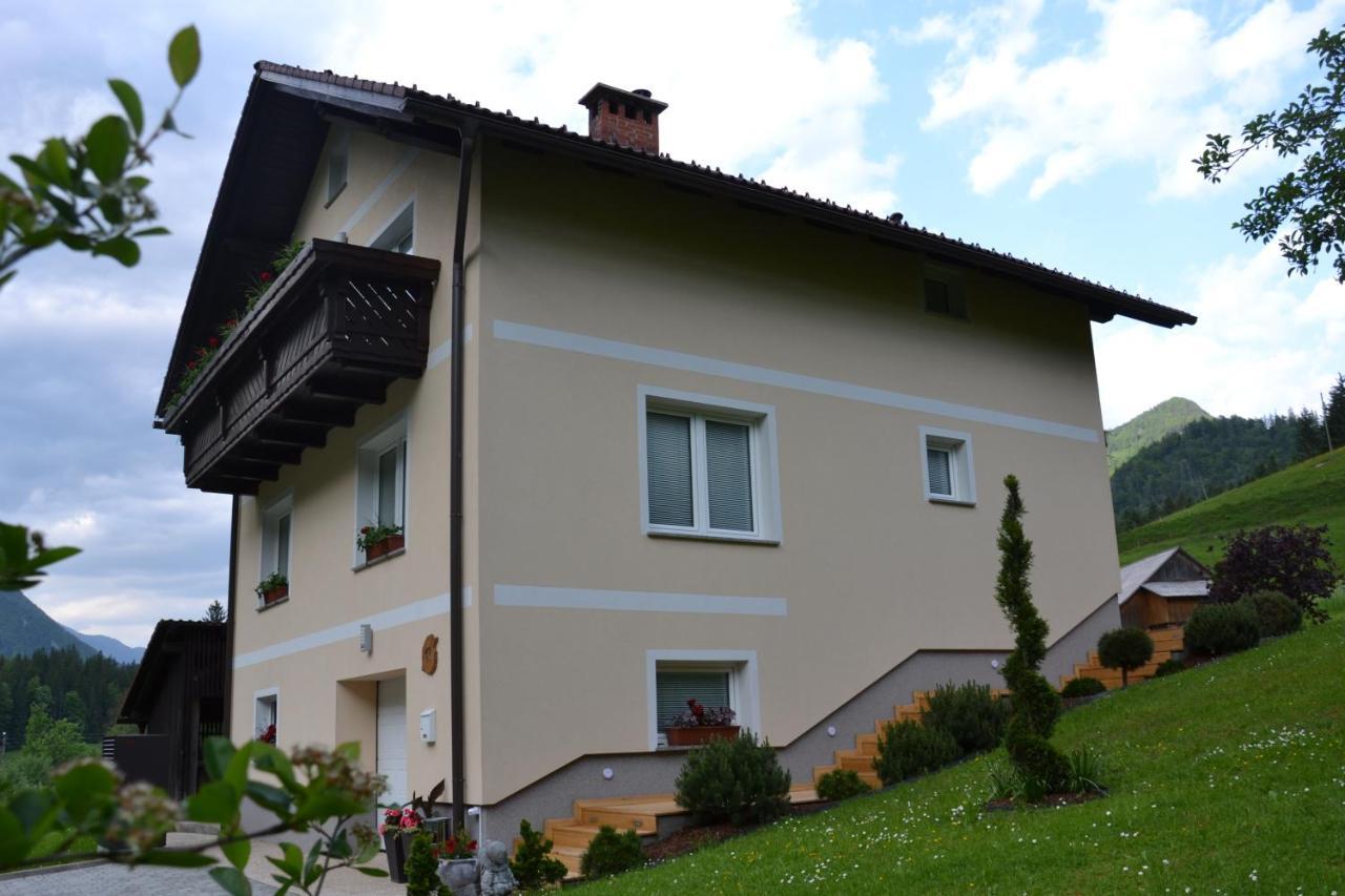 Apartma Ob Potoku Luče Dış mekan fotoğraf