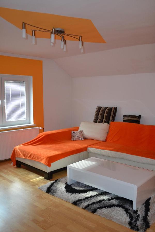 Apartma Ob Potoku Luče Dış mekan fotoğraf